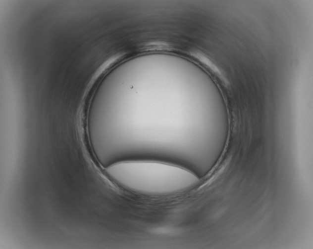 X0000112831325200908210931