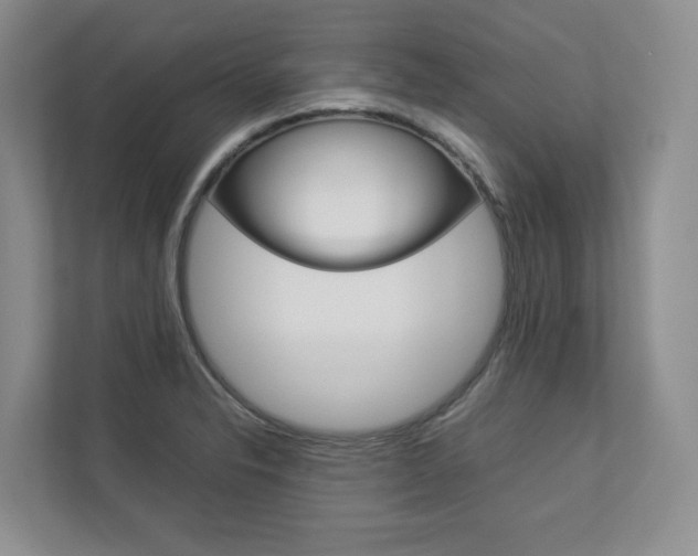 X0000112831326200908210931