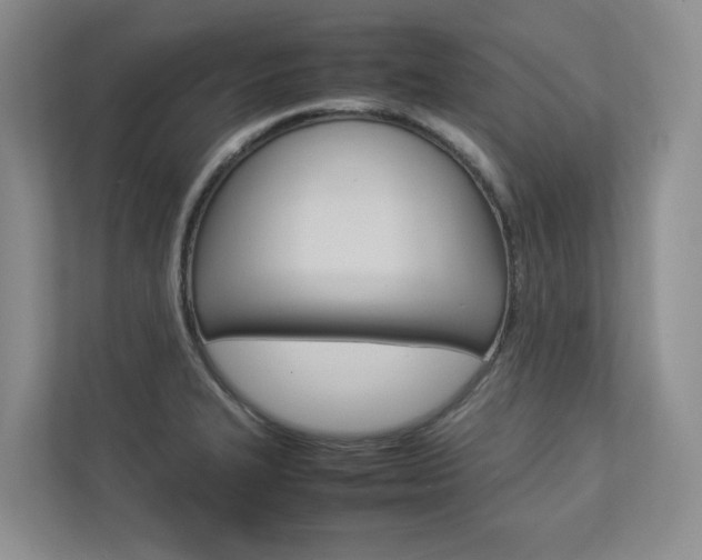 X0000112831327200908210931