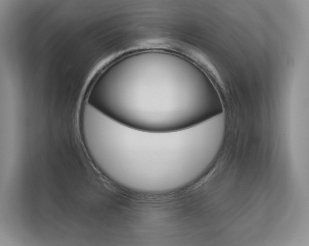 X0000112831328200908210931