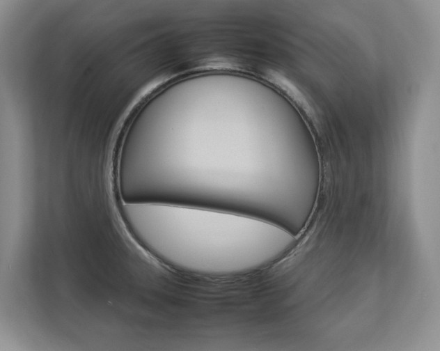 X0000112831331200908210931