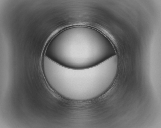 X0000112831332200908210931