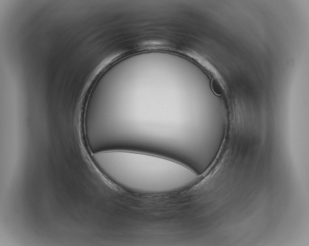 X0000112831333200908210931