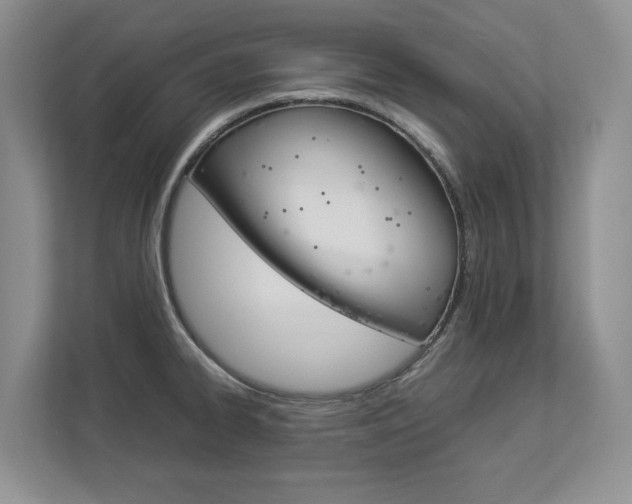 X0000112831334200908210931