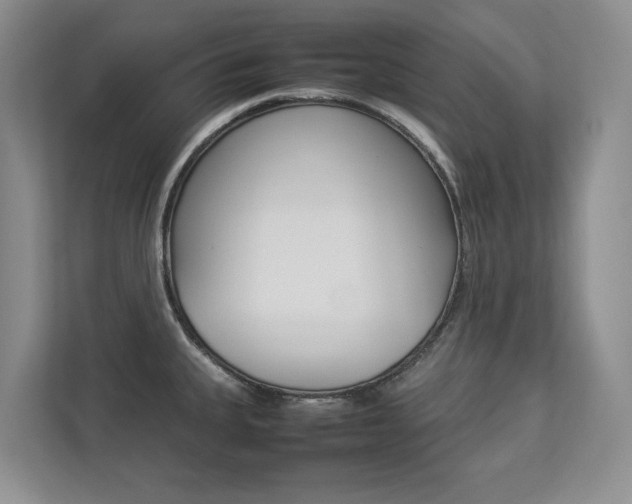 X0000112831335200908210931
