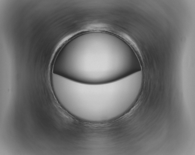 X0000112831336200908210931