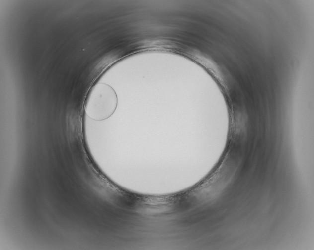 X0000112831338200908210931