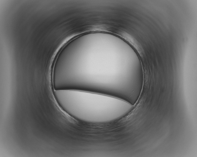 X0000112831339200908210931