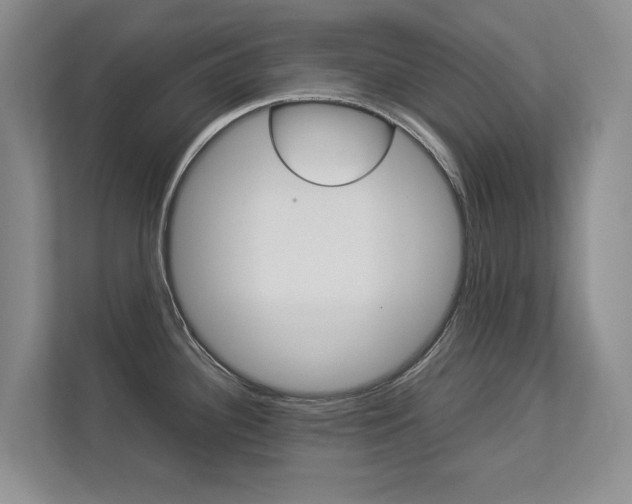 X0000112831340200908210931