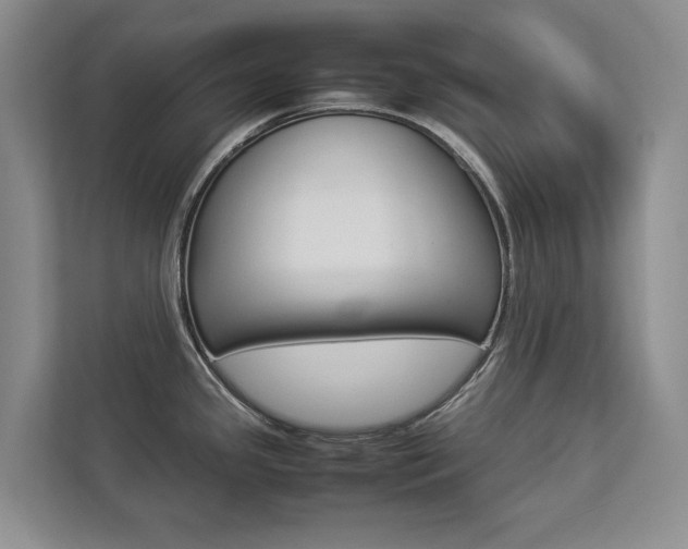 X0000112831341200908210931