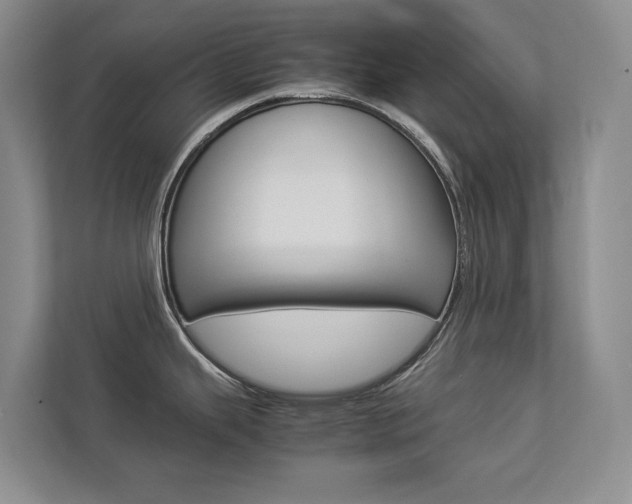 X0000112831343200908210931