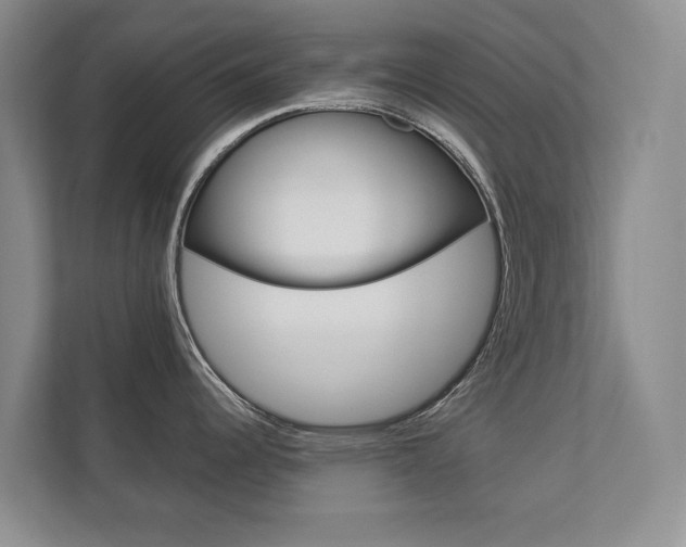 X0000112831344200908210931