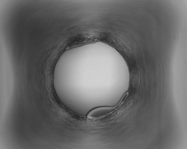 X0000112831345200908210930