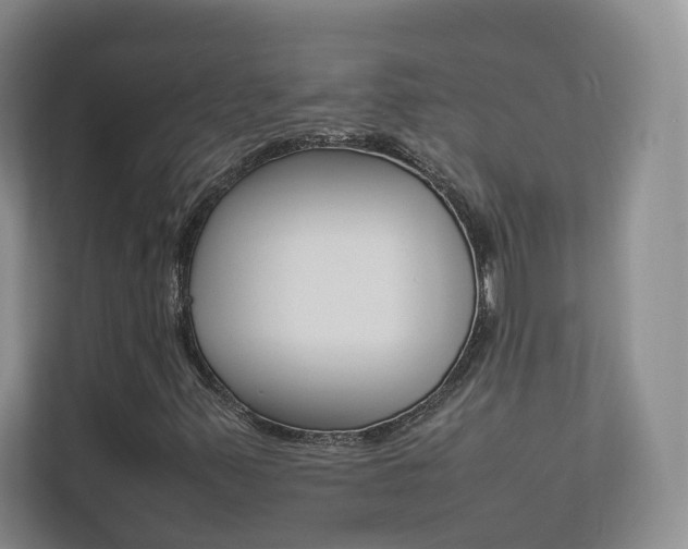 X0000112831347200908210930