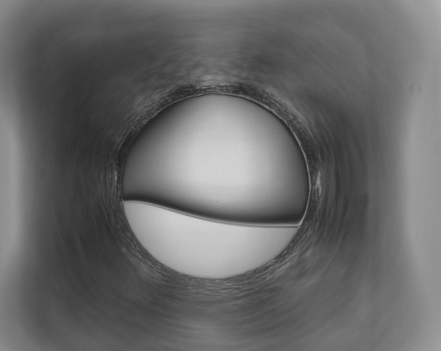 X0000112831348200908210930