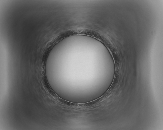 X0000112831349200908210930