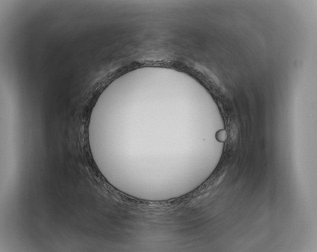 X0000112831350200908210930