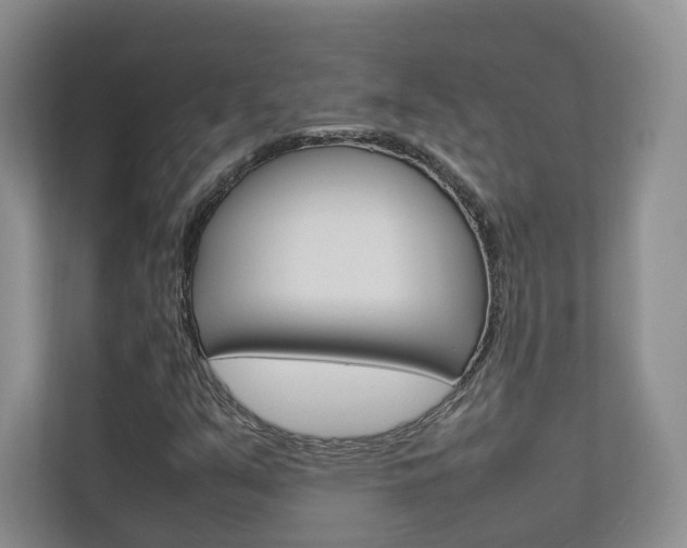 X0000112831351200908210930
