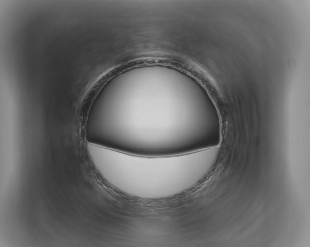 X0000112831352200908210930
