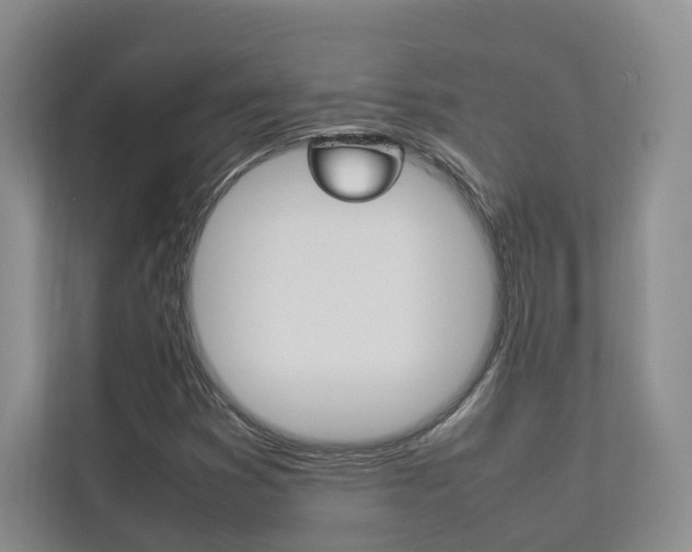 X0000112831353200908210930