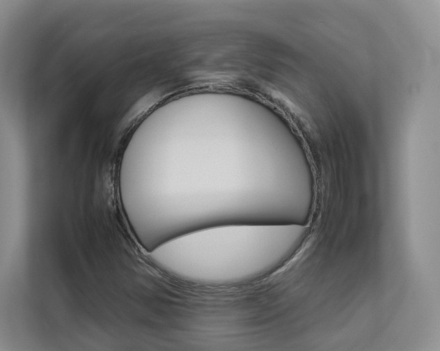 X0000112831354200908210930
