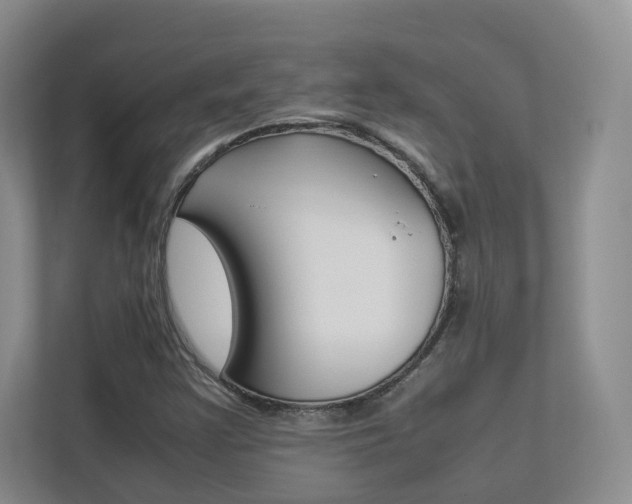 X0000112831355200908210930