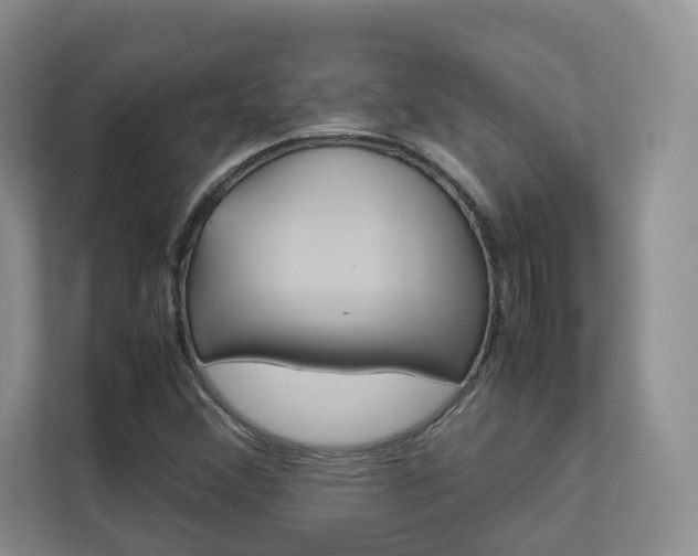 X0000112831356200908210930