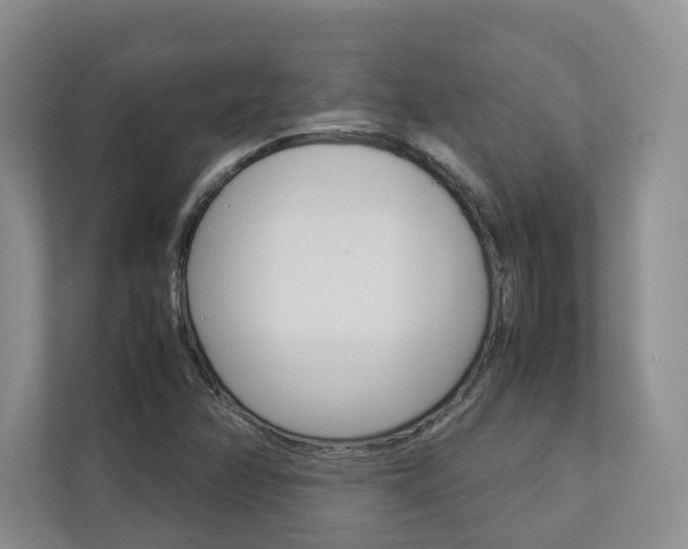 X0000112831358200908210930