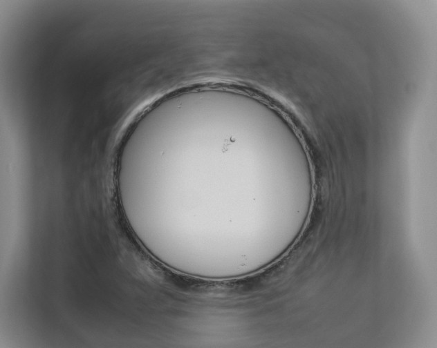 X0000112831359200908210930