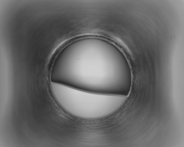 X0000112831360200908210930