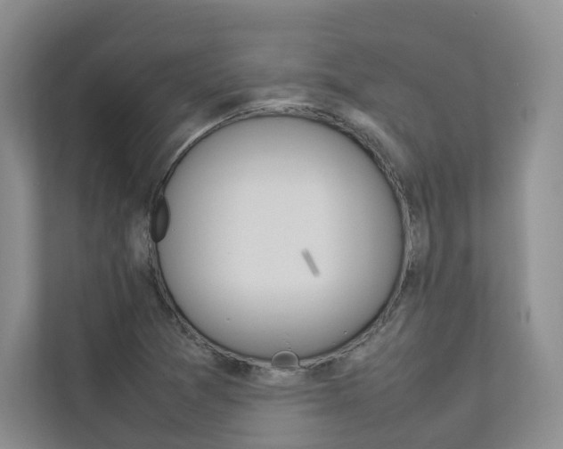 X0000112831361200908210930