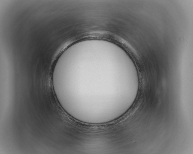 X0000112831362200908210930