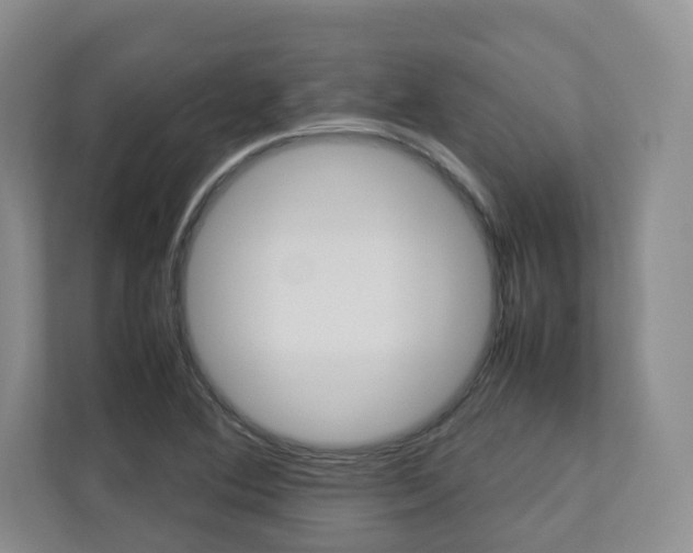 X0000112831364200908210930