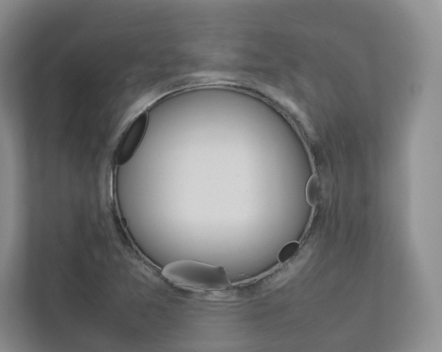 X0000112831365200908210930