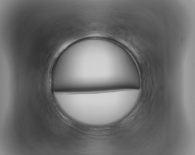 X0000112831367200908210930