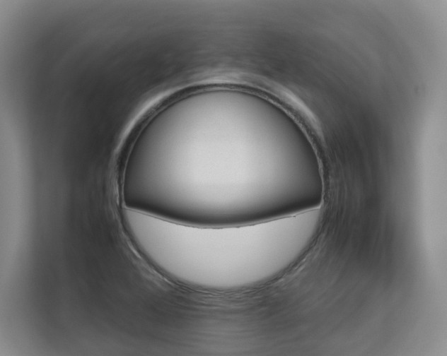 X0000112831368200908210930
