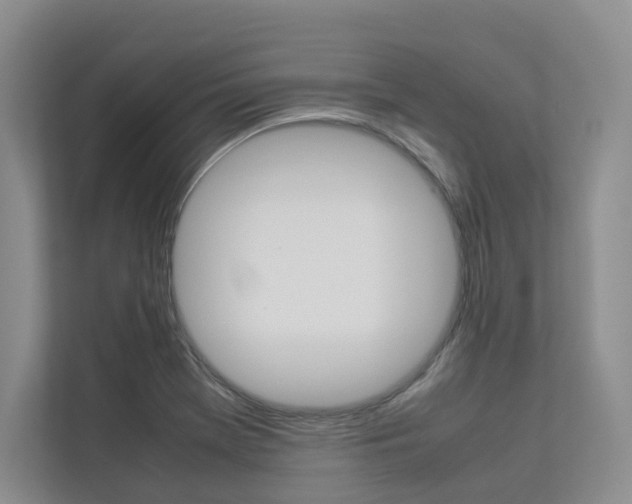 X0000112831369200908210930