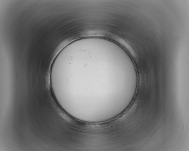 X0000112831370200908210930