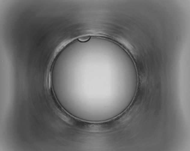 X0000112831371200908210930
