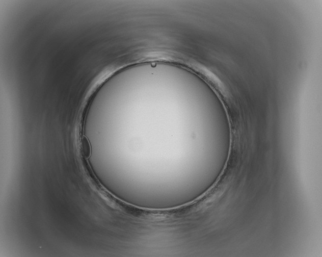 X0000112831373200908210930