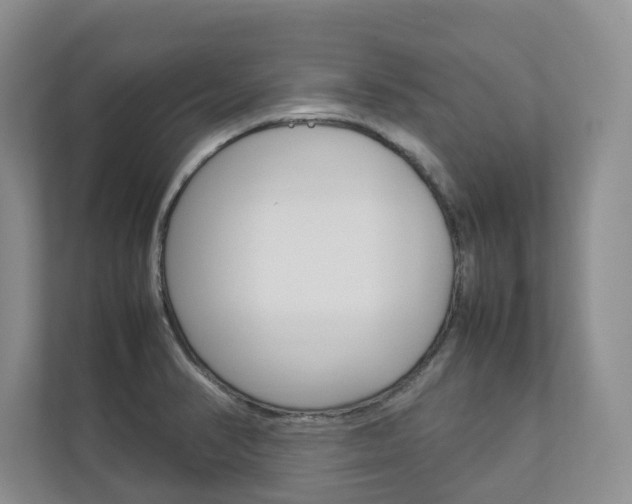 X0000112831374200908210930