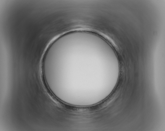 X0000112831375200908210930