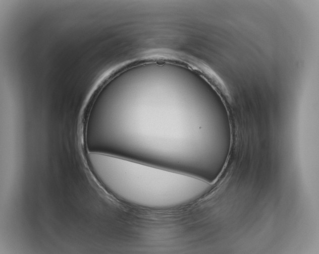 X0000112831376200908210930