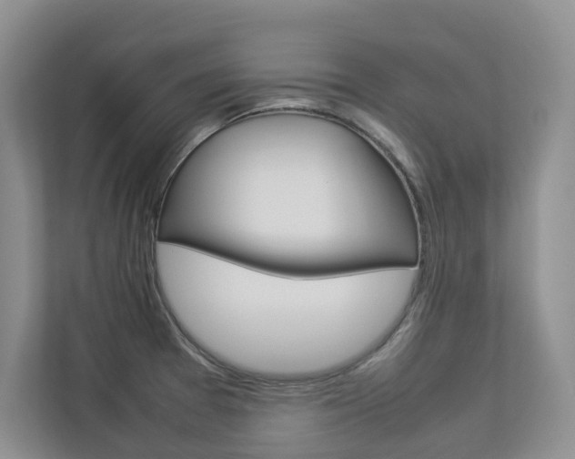 X0000112831377200908210930