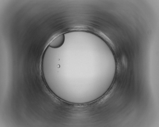 X0000112831378200908210930