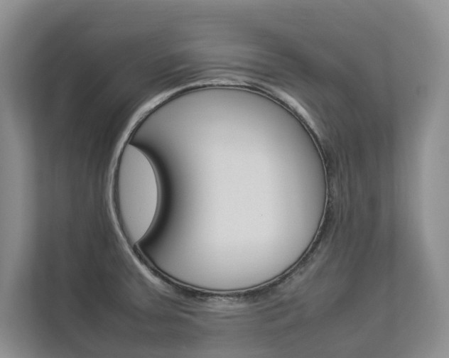 X0000112831379200908210930