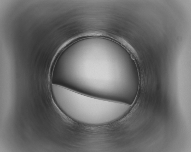 X0000112831380200908210930