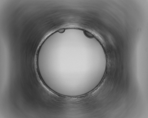 X0000112831382200908210930