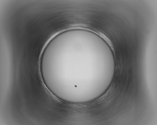 X0000112831384200908210930