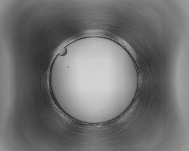 X0000112831386200908210930